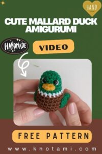 Easy Crochet Cute Mallard Duck Amigurumi Pattern