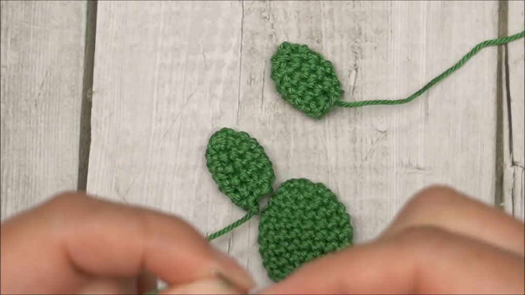 The small cactus pieces