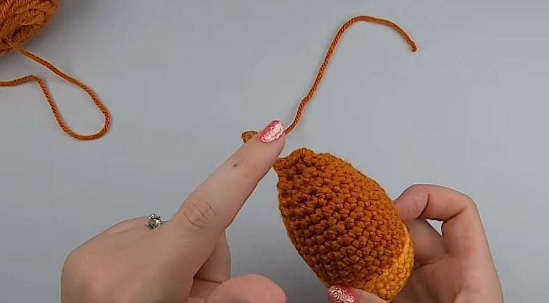 Stuffed goldfish body with a long yarn tail.